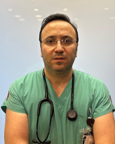 WhatsApp Image 2026-02-20 at 21.04.02 (2)